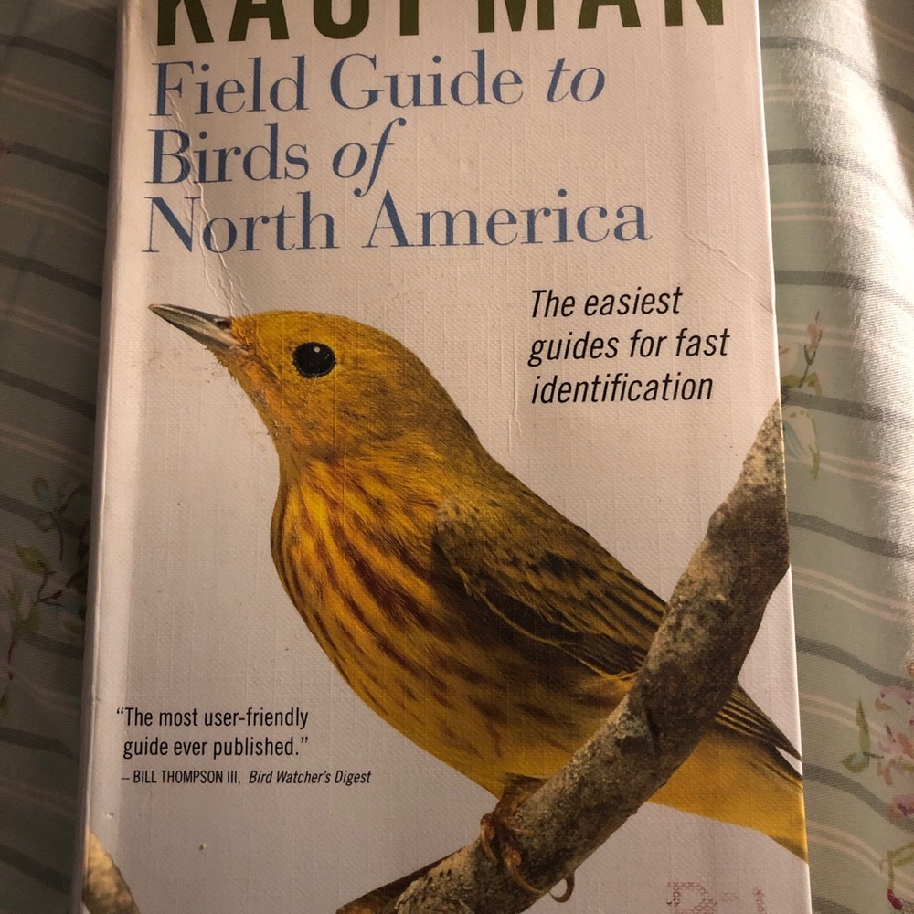 Field Guide to Birds of North America - Yellow